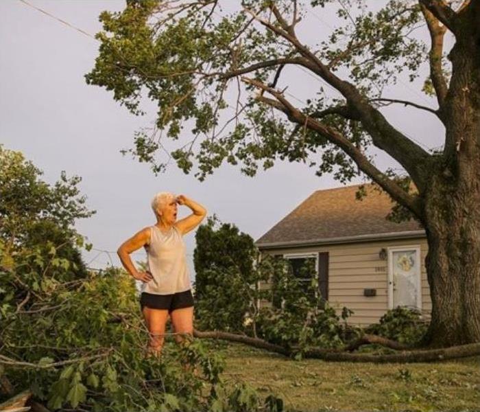 woman looking at tree fallen in yard after a storm